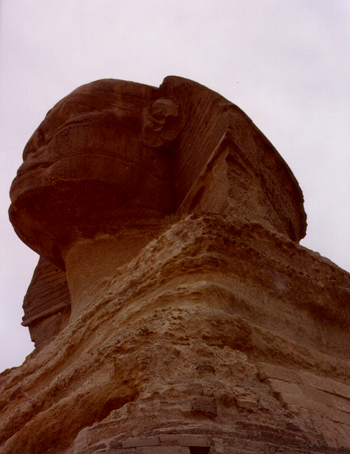 A close-up of the Sphinx's head, before the restoration was completed.